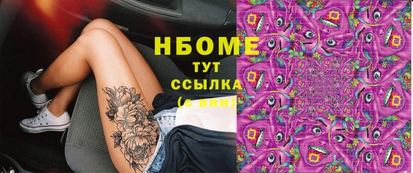 шишки Белокуриха