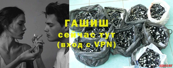 шишки Белокуриха