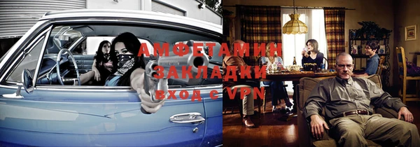 шишки Белокуриха