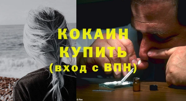 шишки Белокуриха